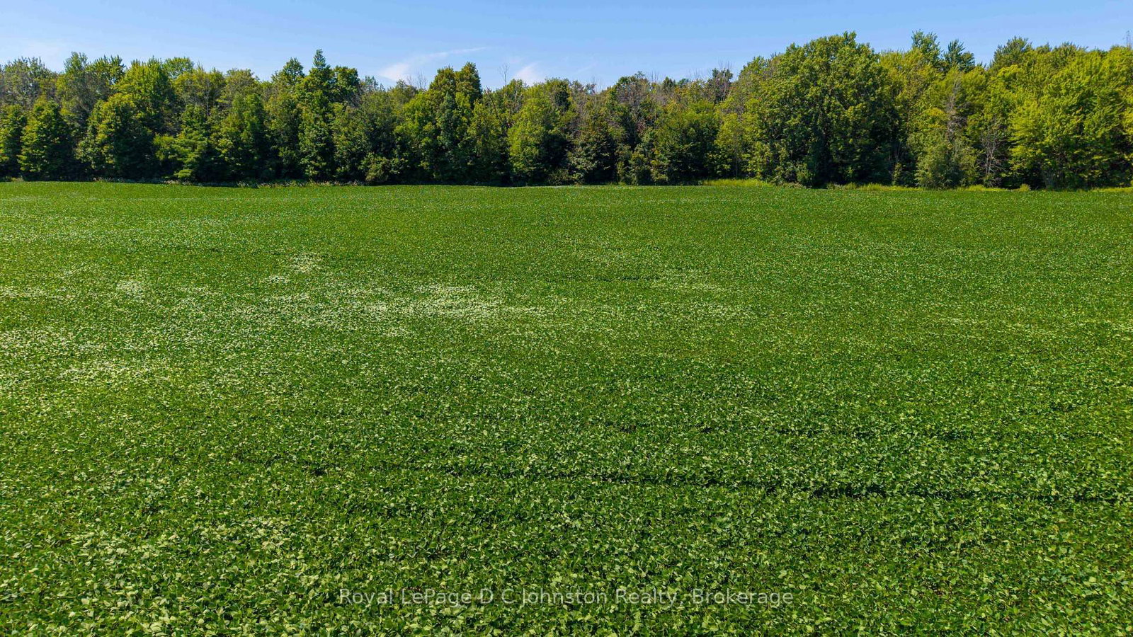 305 Sideroad 25 • Kincardine, ON photo 6