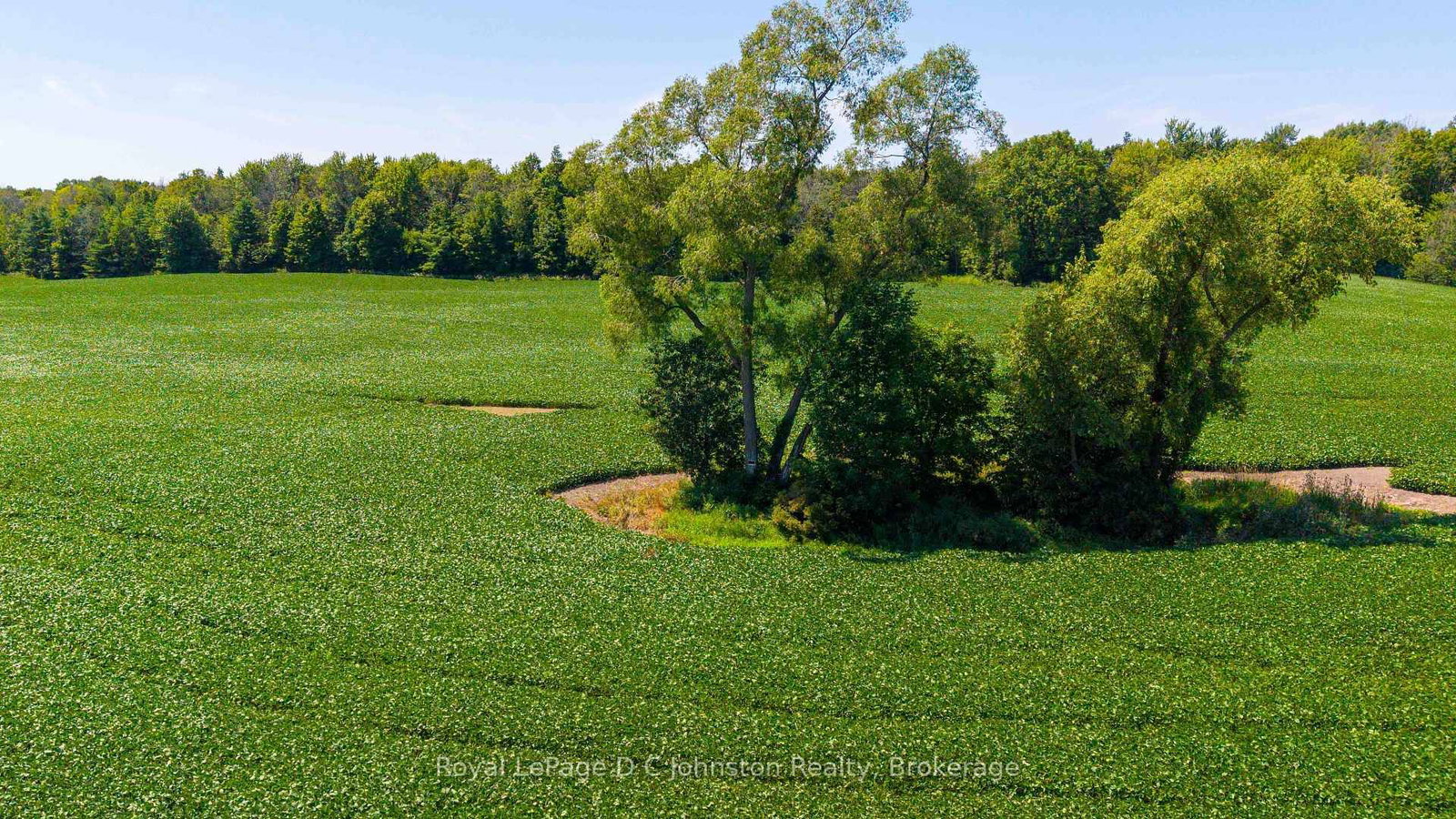305 Sideroad 25 • Kincardine, ON photo 7