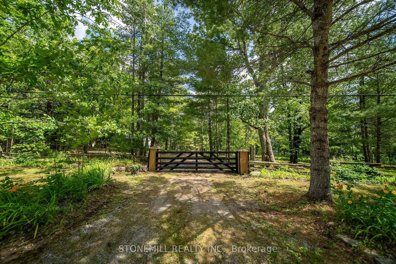 56 Griffin Drive • Kawartha Lakes, ON photo 21