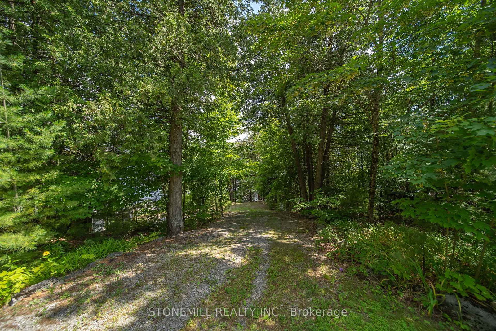 56 Griffin Drive • Kawartha Lakes, ON photo 23