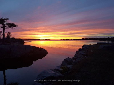 25744 Georgian Bay Shr • Georgian Bay, ON photo 4