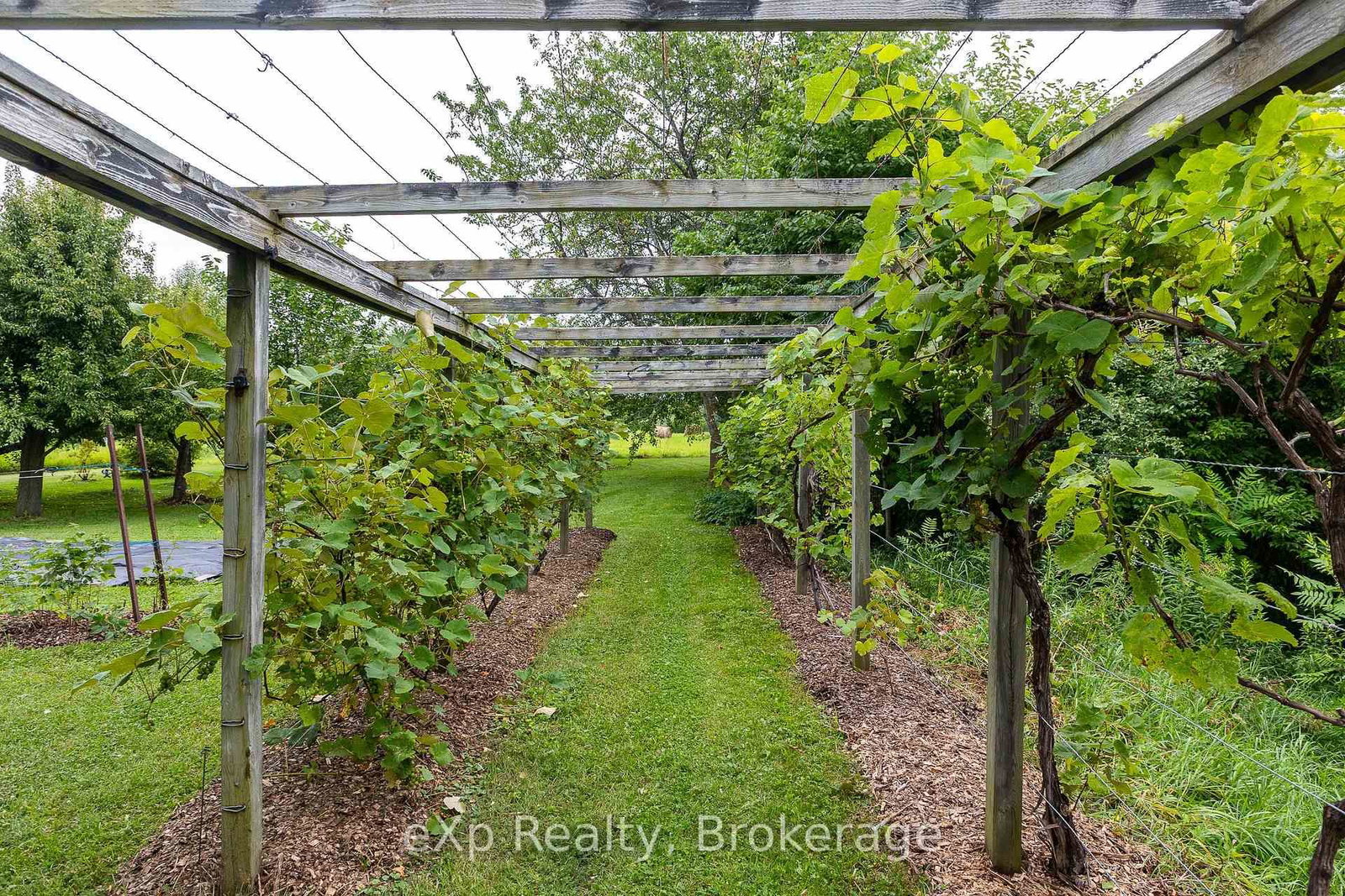 350063 Bayshore Road • Meaford, ON photo 24
