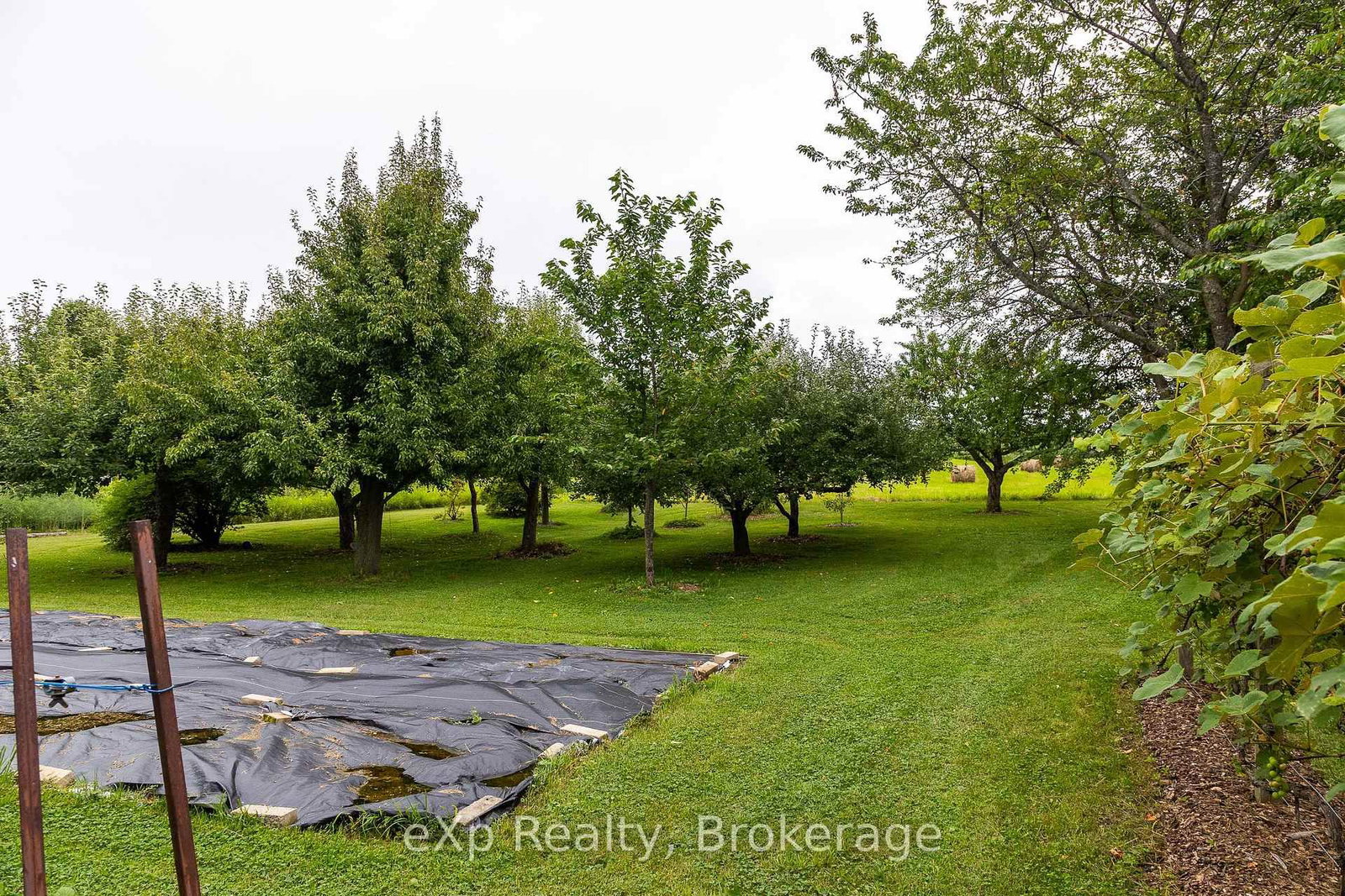 350063 Bayshore Road • Meaford, ON photo 26