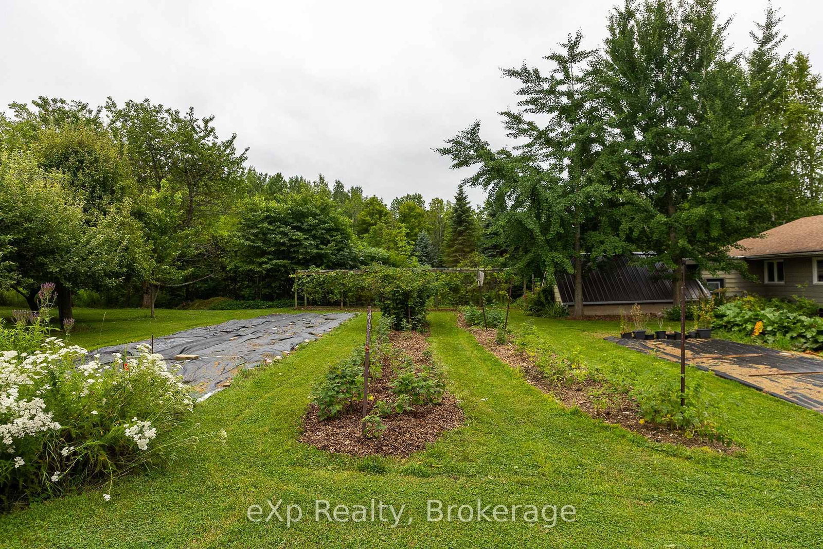 350063 Bayshore Road • Meaford, ON photo 27