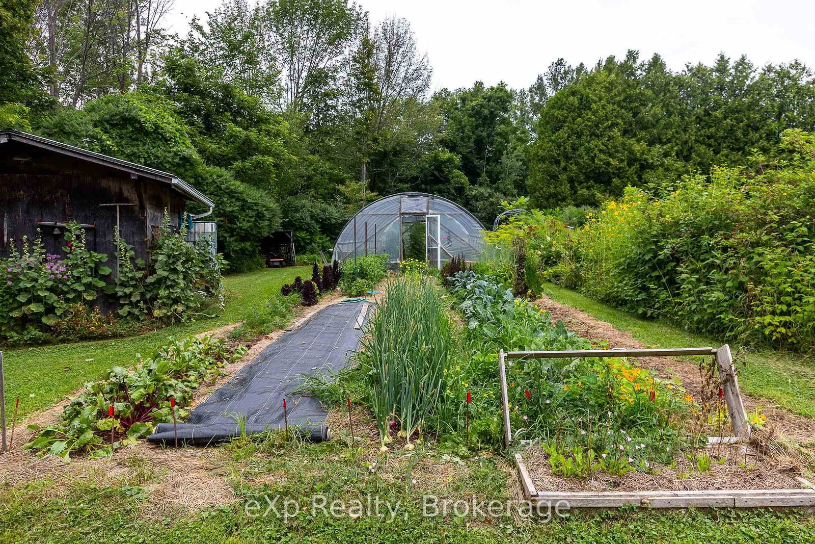 350063 Bayshore Road • Meaford, ON photo 29