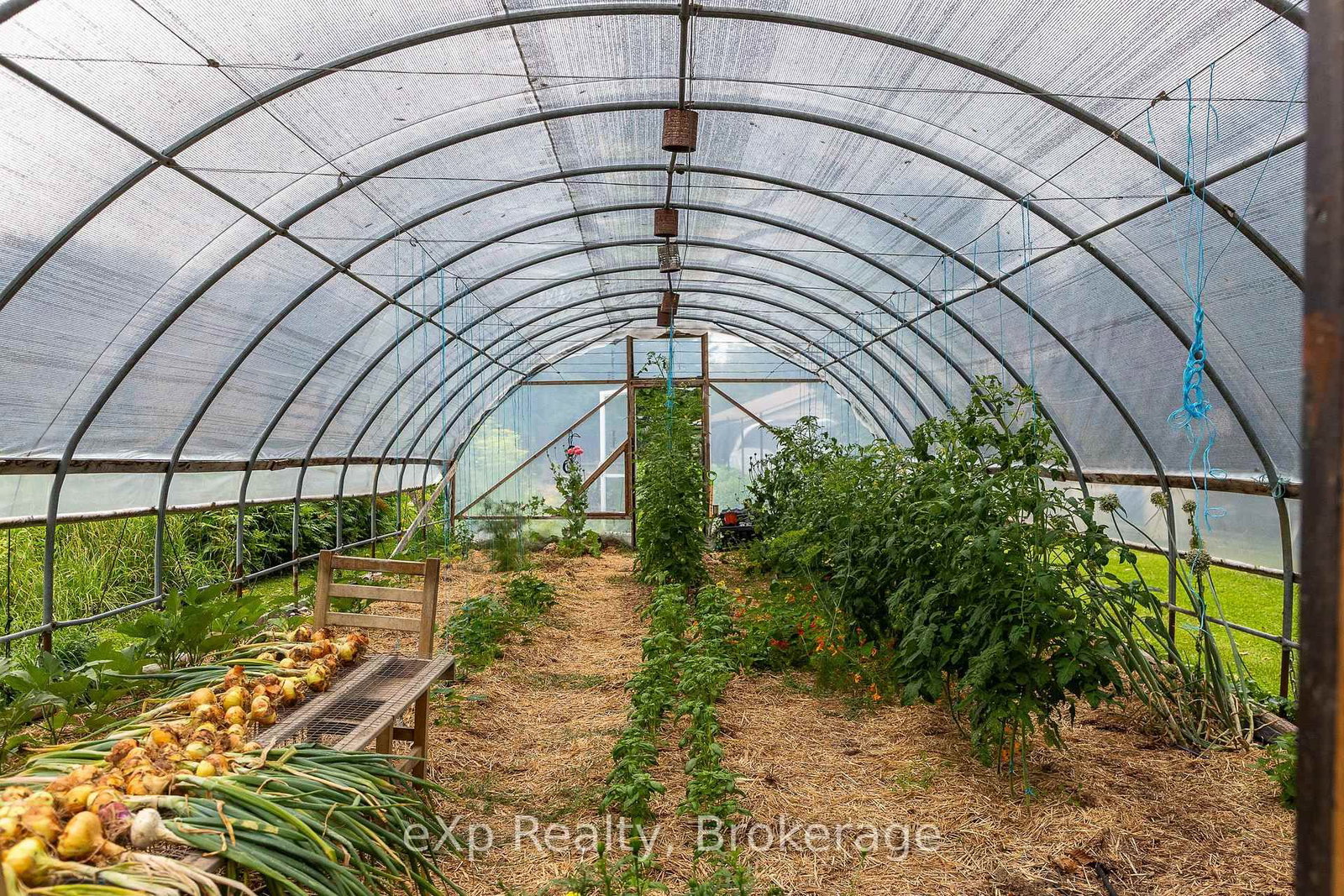 350063 Bayshore Road • Meaford, ON photo 30