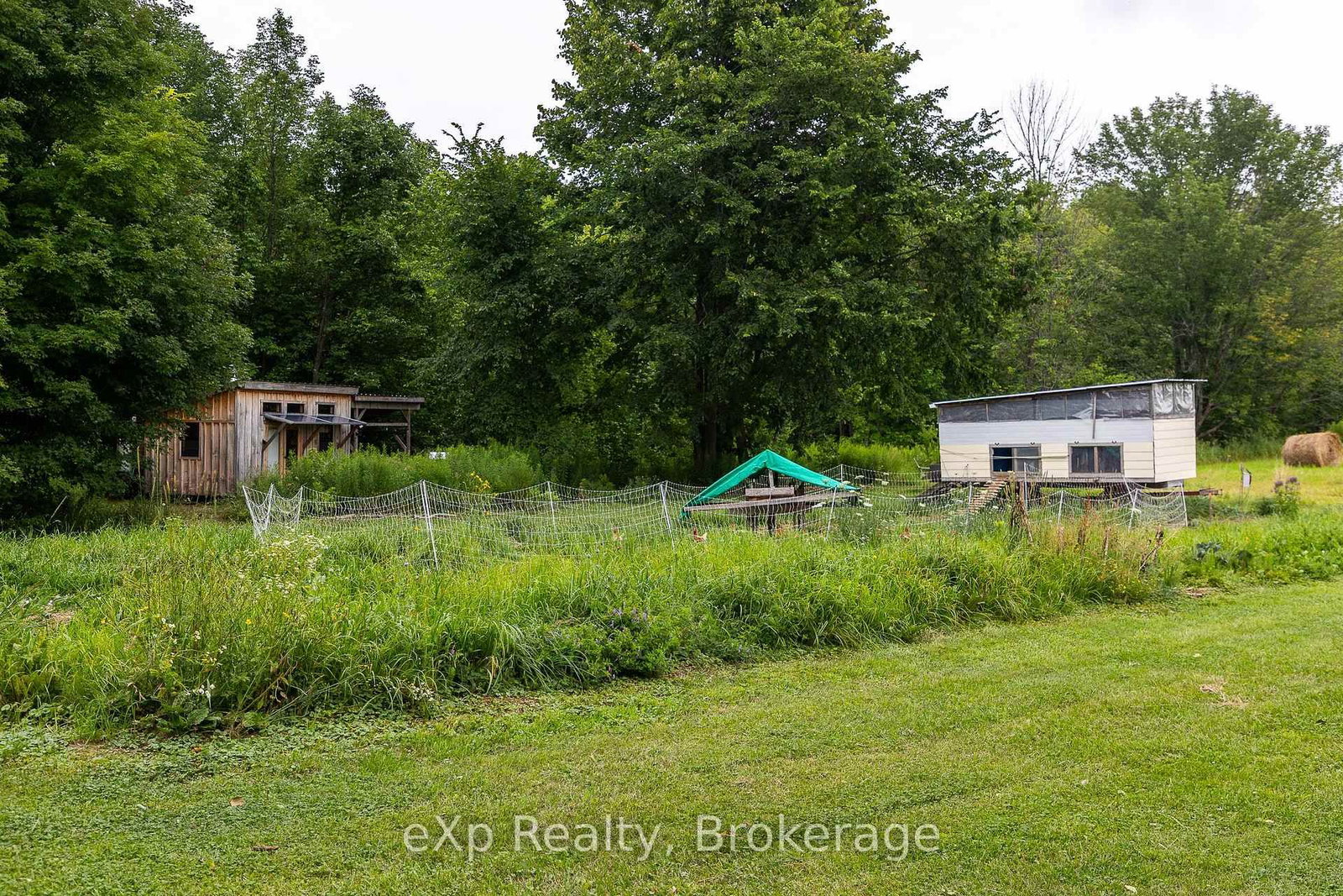 350063 Bayshore Road • Meaford, ON photo 31