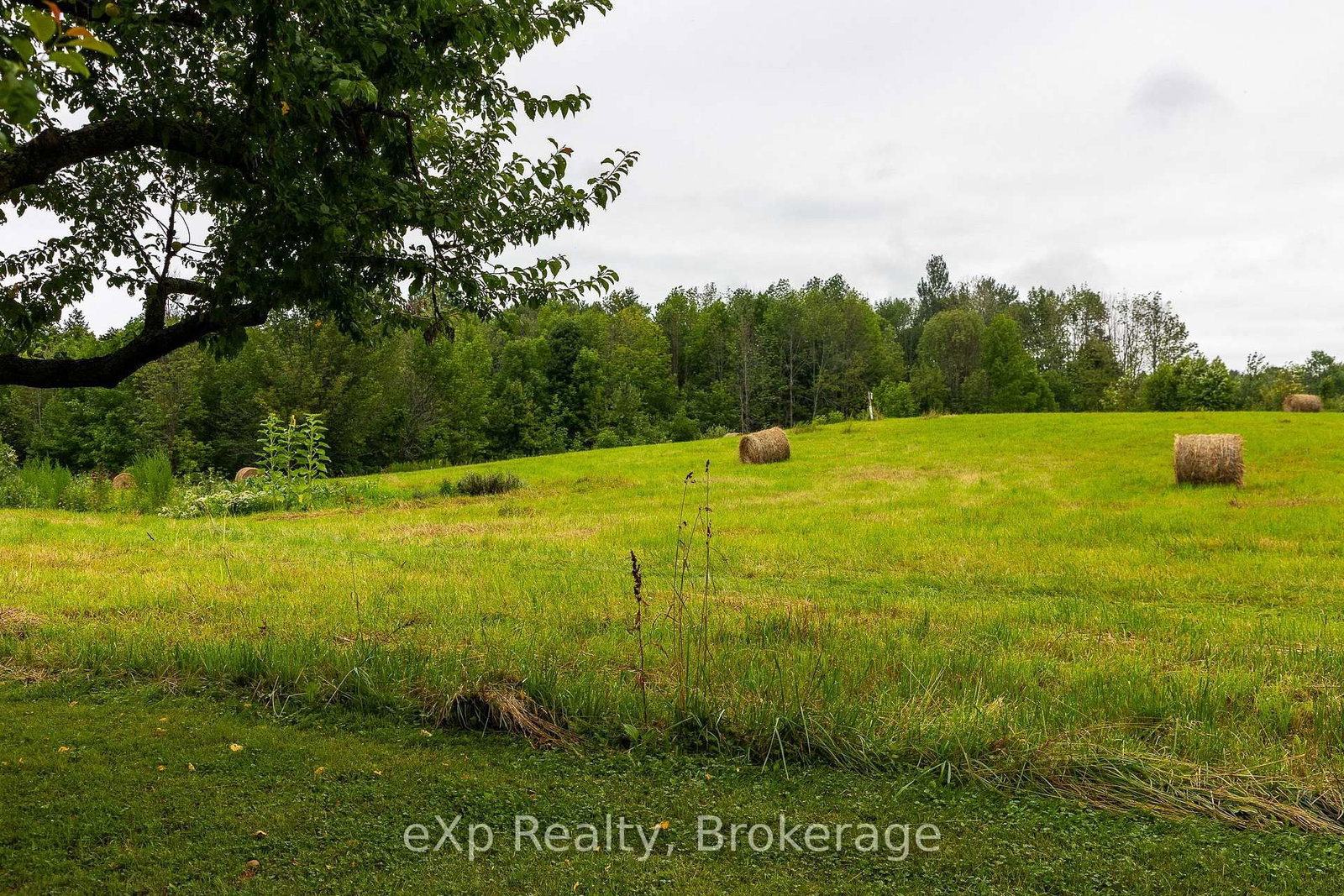 350063 Bayshore Road • Meaford, ON photo 36