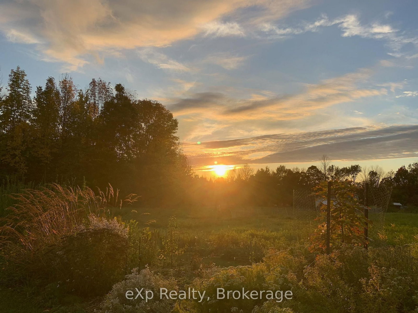 350063 Bayshore Road • Meaford, ON photo 39