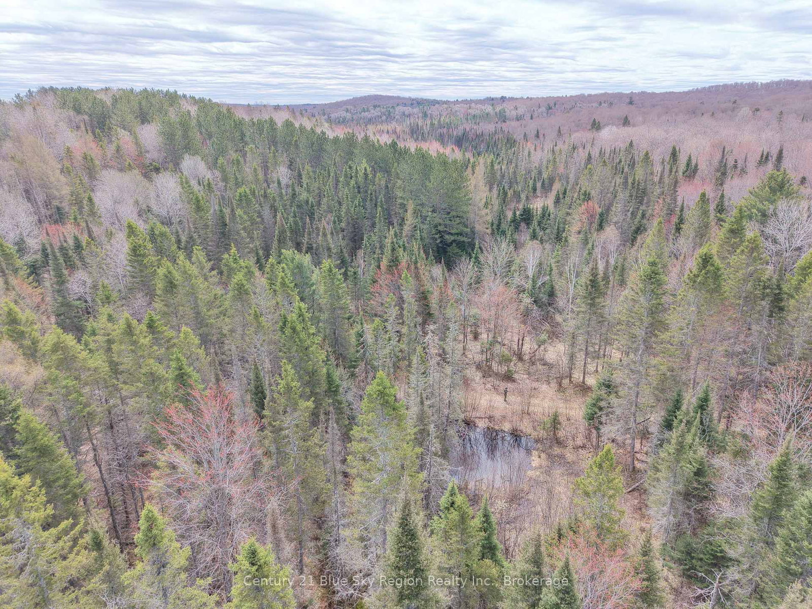 Lot 2, 3, 4, 5, Old Nipissing Road • Nipissing, ON photo 10