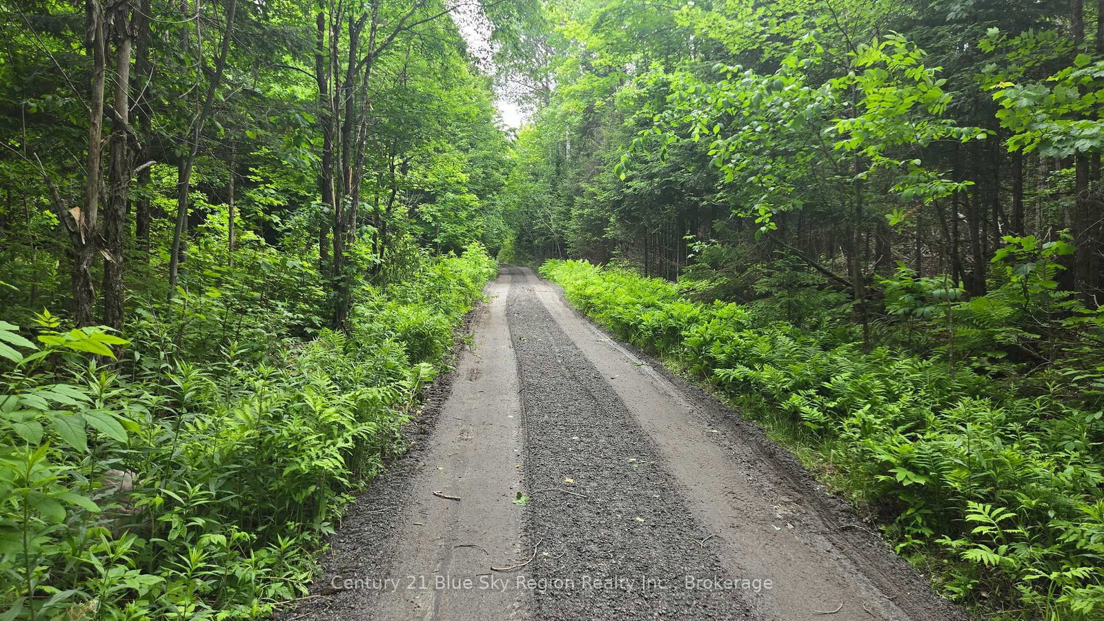 Lot 2, 3, 4, 5, Old Nipissing Road • Nipissing, ON photo 25