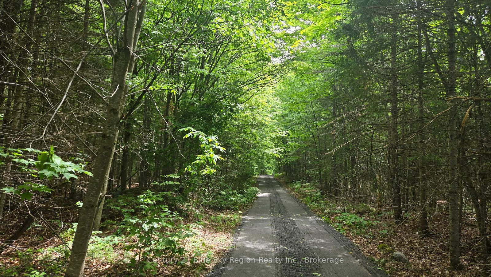 Lot 2, 3, 4, 5, Old Nipissing Road • Nipissing, ON photo 26