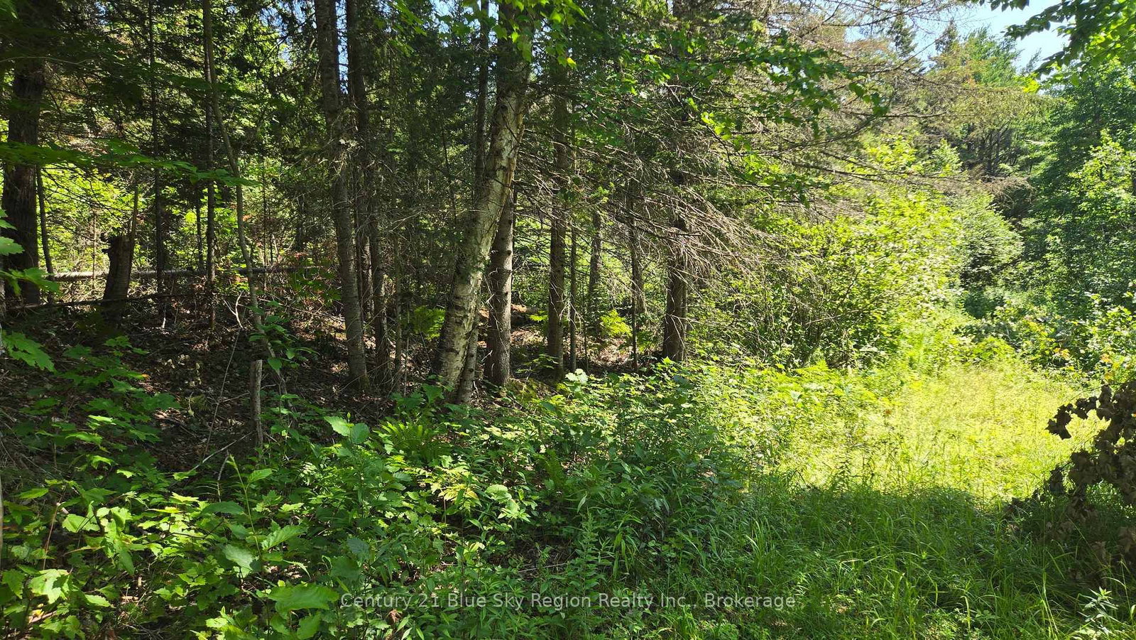 Lot 2, 3, 4, 5, Old Nipissing Road • Nipissing, ON photo 29