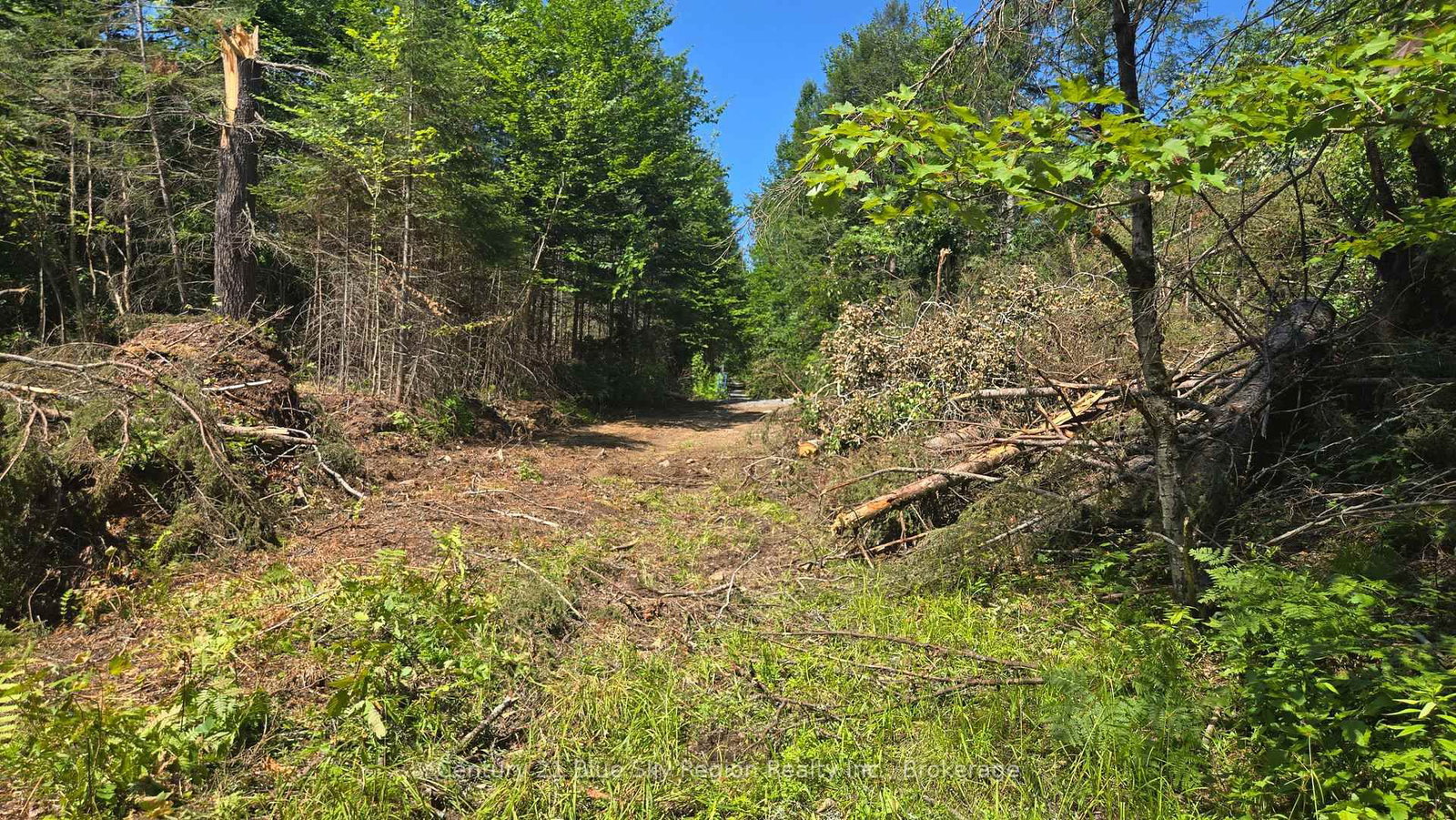 Lot 2, 3, 4, 5, Old Nipissing Road • Nipissing, ON photo 30