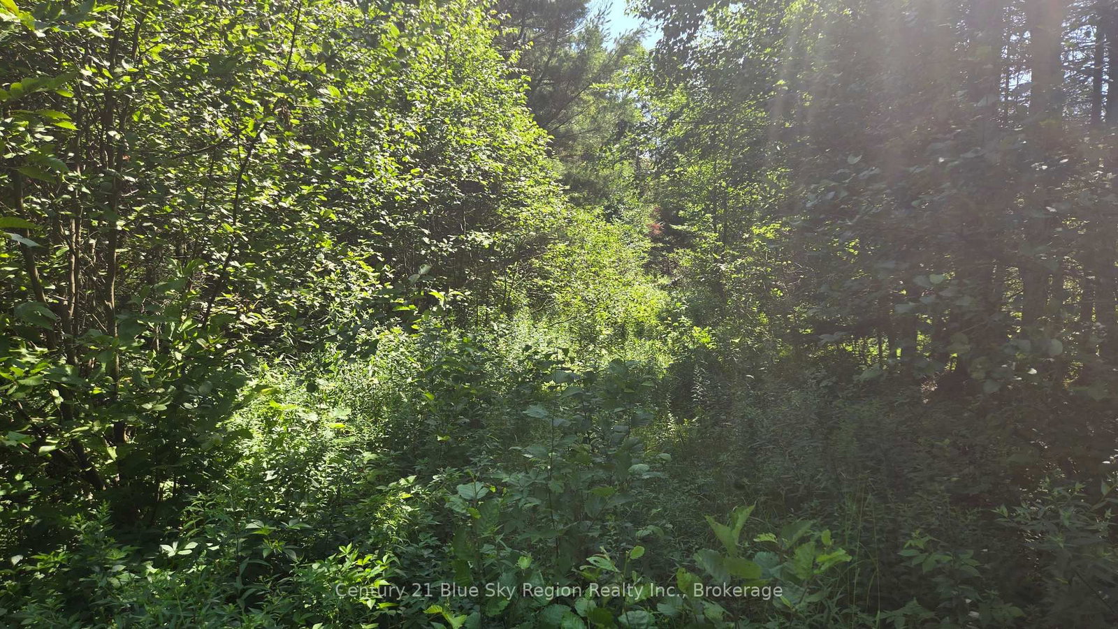 Lot 2, 3, 4, 5, Old Nipissing Road • Nipissing, ON photo 31