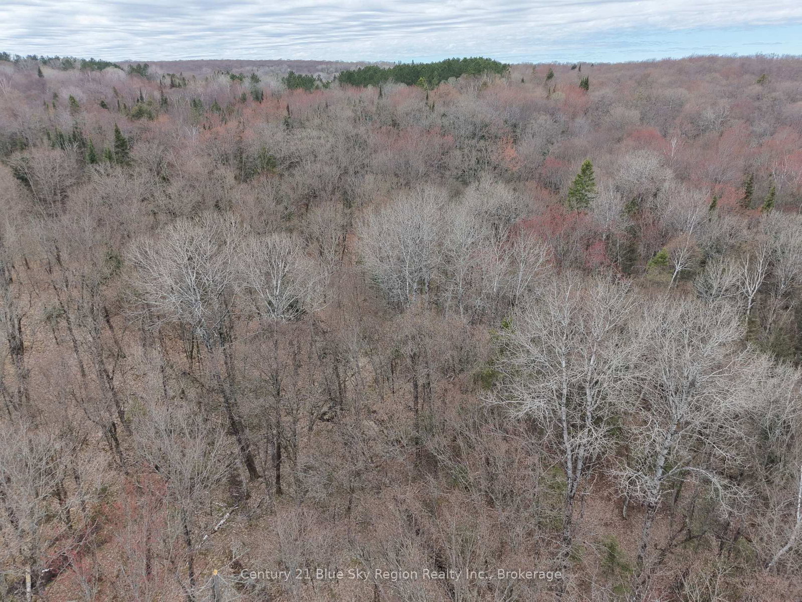 Lot 2, 3, 4, 5, Old Nipissing Road • Nipissing, ON photo 36