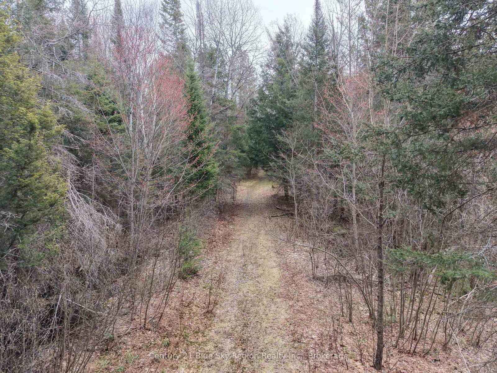 Lot 2, 3, 4, 5, Old Nipissing Road • Nipissing, ON photo 42