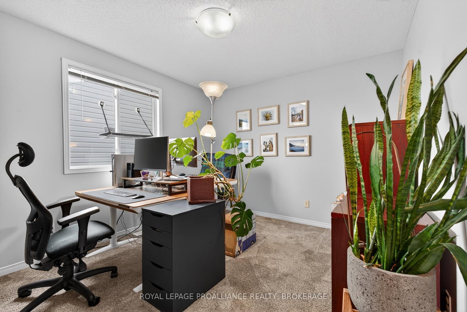 964 Rainbow Crescent • Kingston, ON photo 19