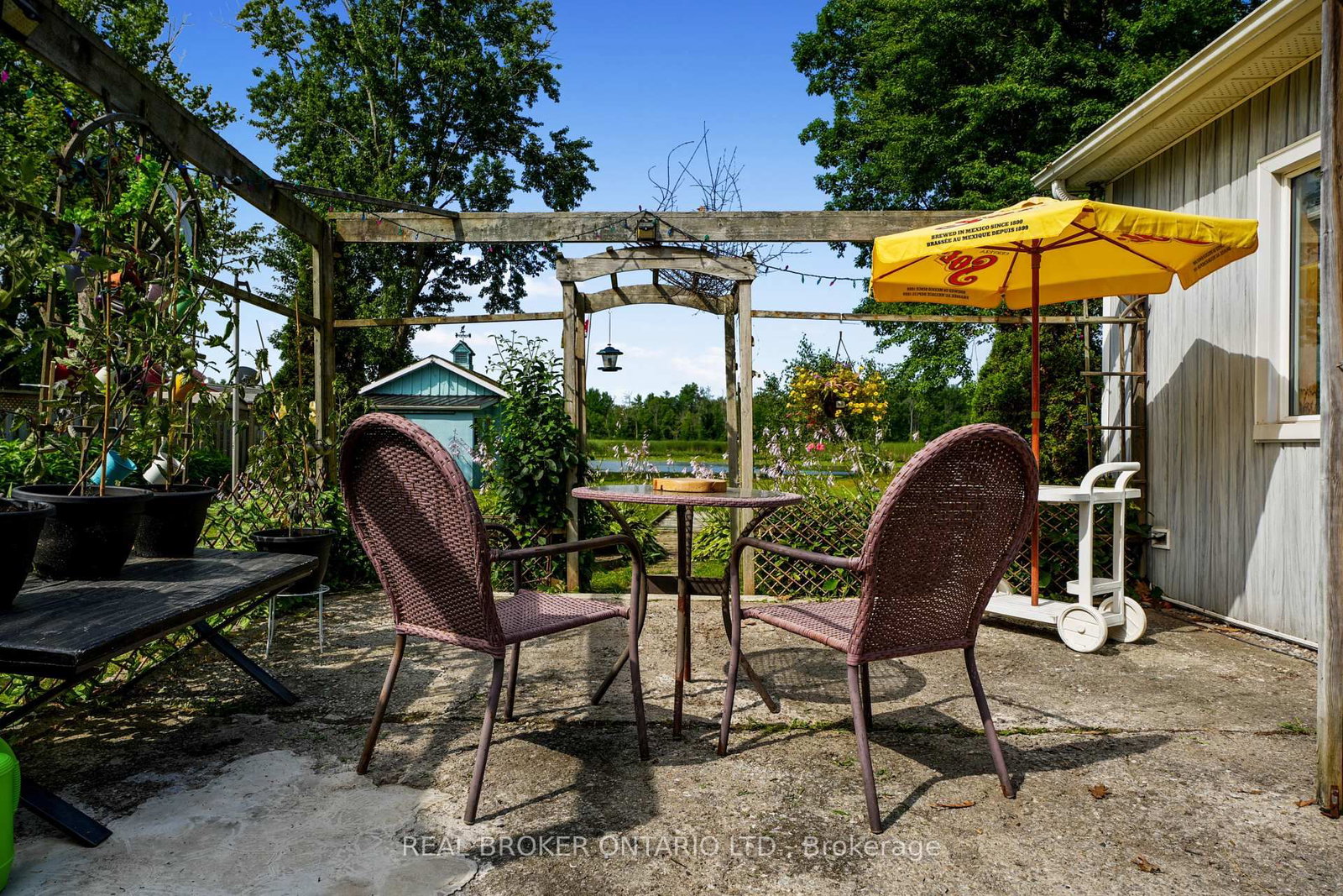 233 River Road E • Trent Hills, ON photo 37