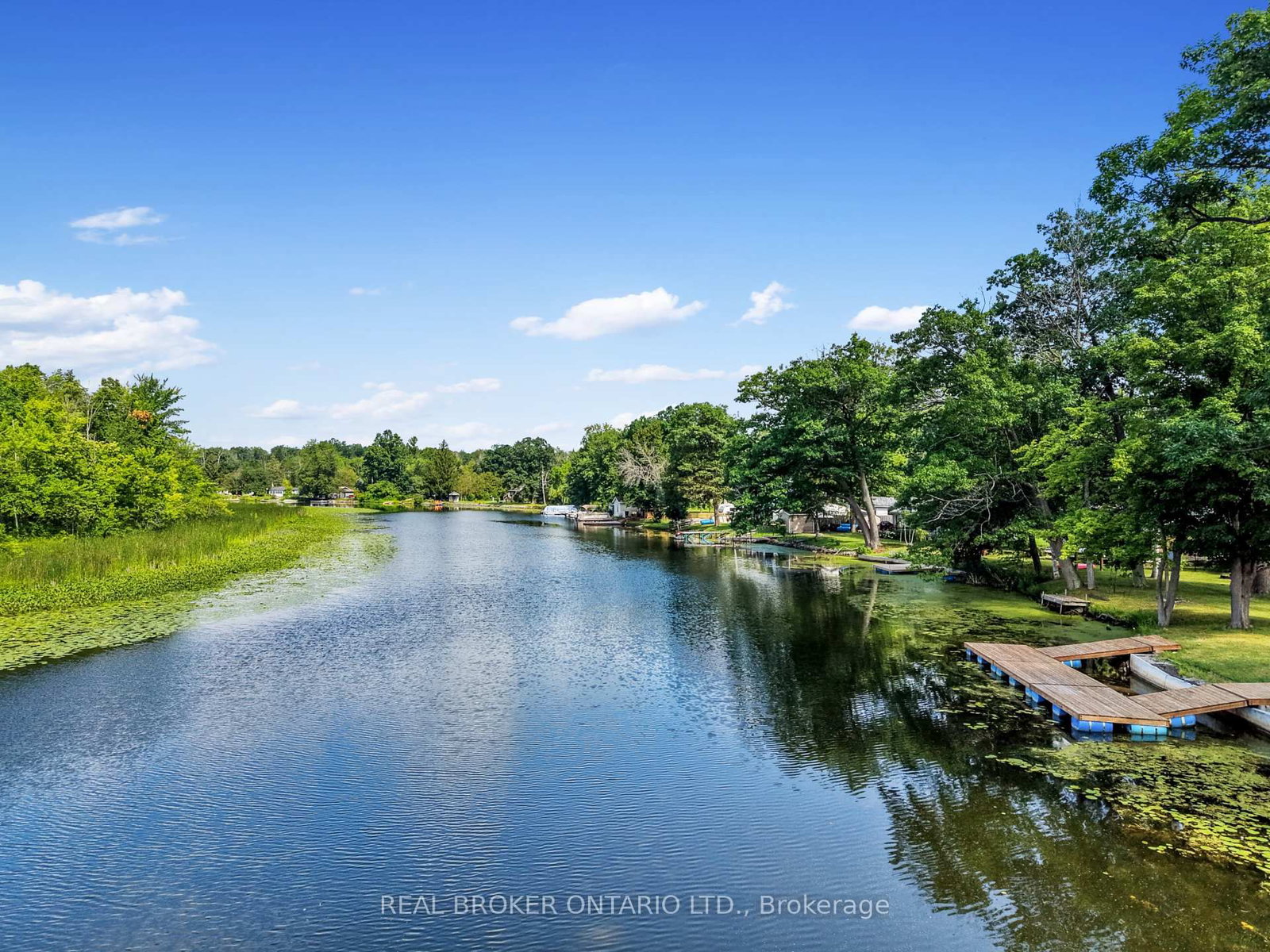 233 River Road E • Trent Hills, ON photo 39