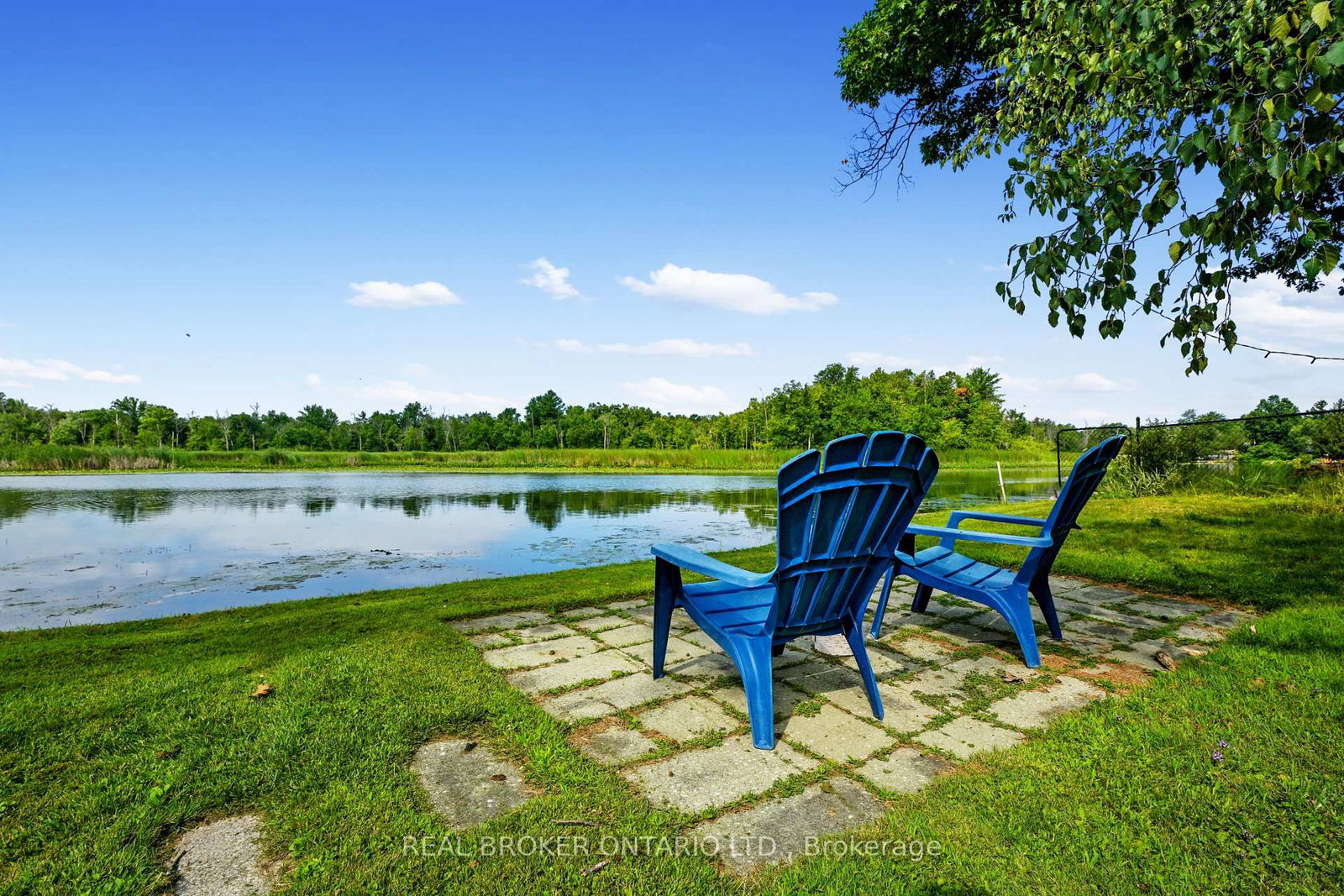 233 River Road E • Trent Hills, ON photo 6
