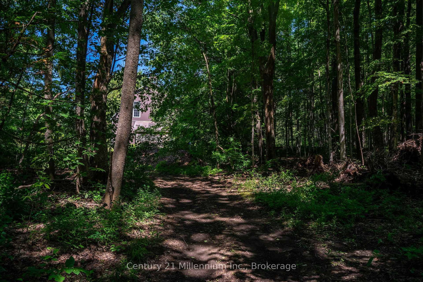 414616 Baseline Road • West Grey, ON photo 13