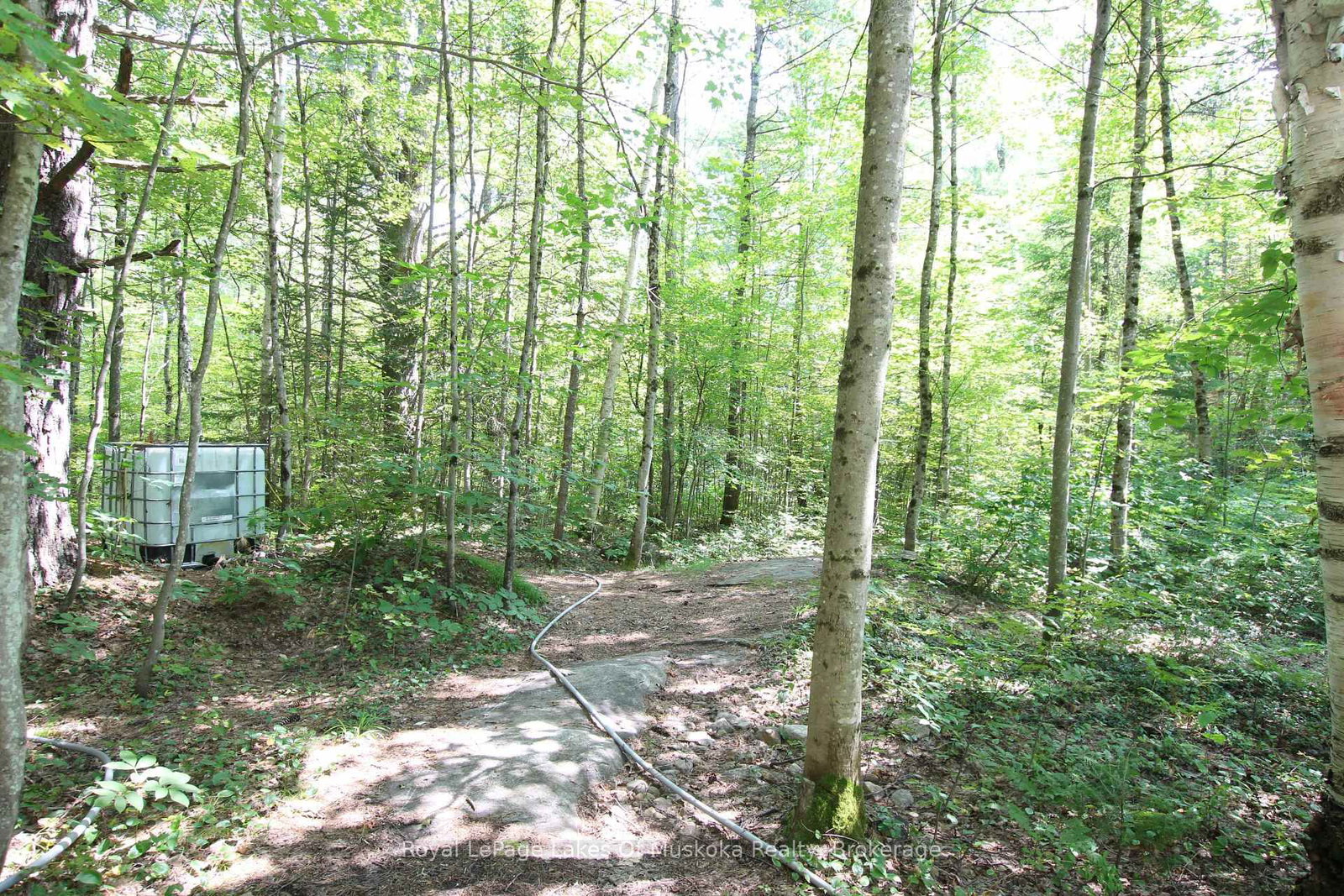 1101 Langford Road • Lake of Bays, ON photo 31