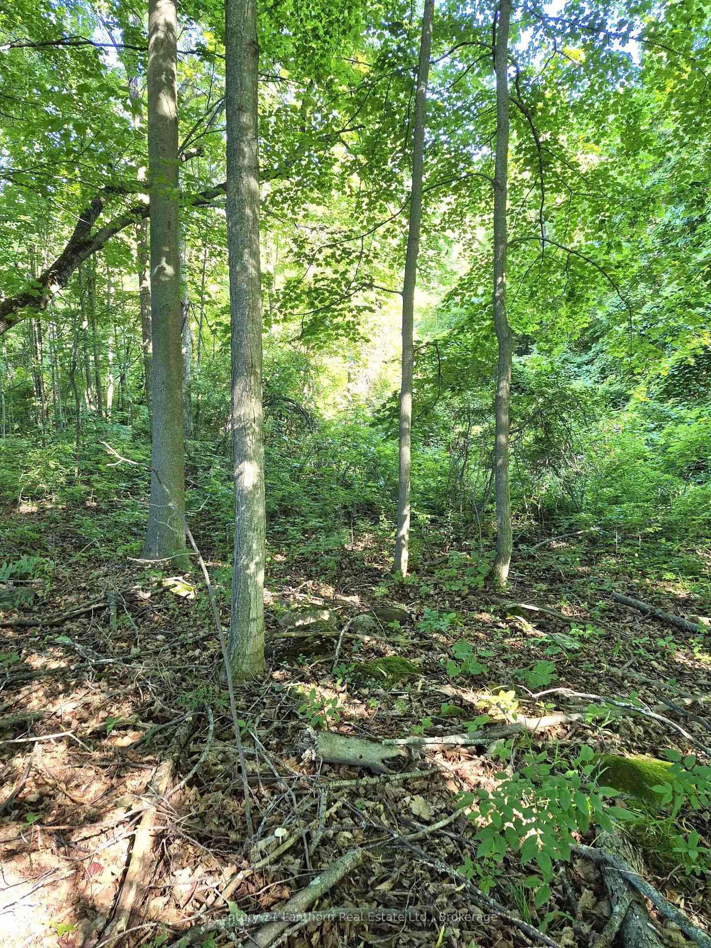 448 Harrington Road • Hastings, ON photo 39