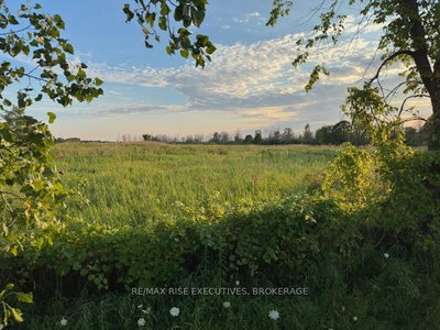3878 County Rd 8 • Napanee, ON photo 3