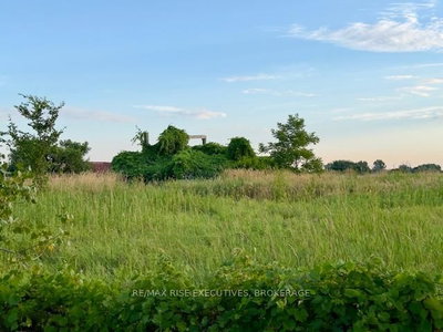 3878 County Rd 8 • Napanee, ON photo 4