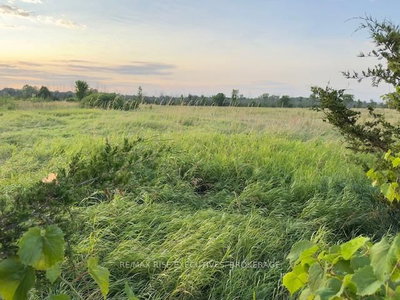 3878 County Rd 8 • Napanee, ON photo 5