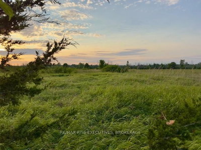 3878 County Rd 8 • Napanee, ON photo 6