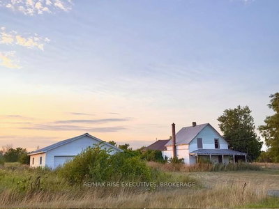 3878 County Rd 8 • Napanee, ON photo 8