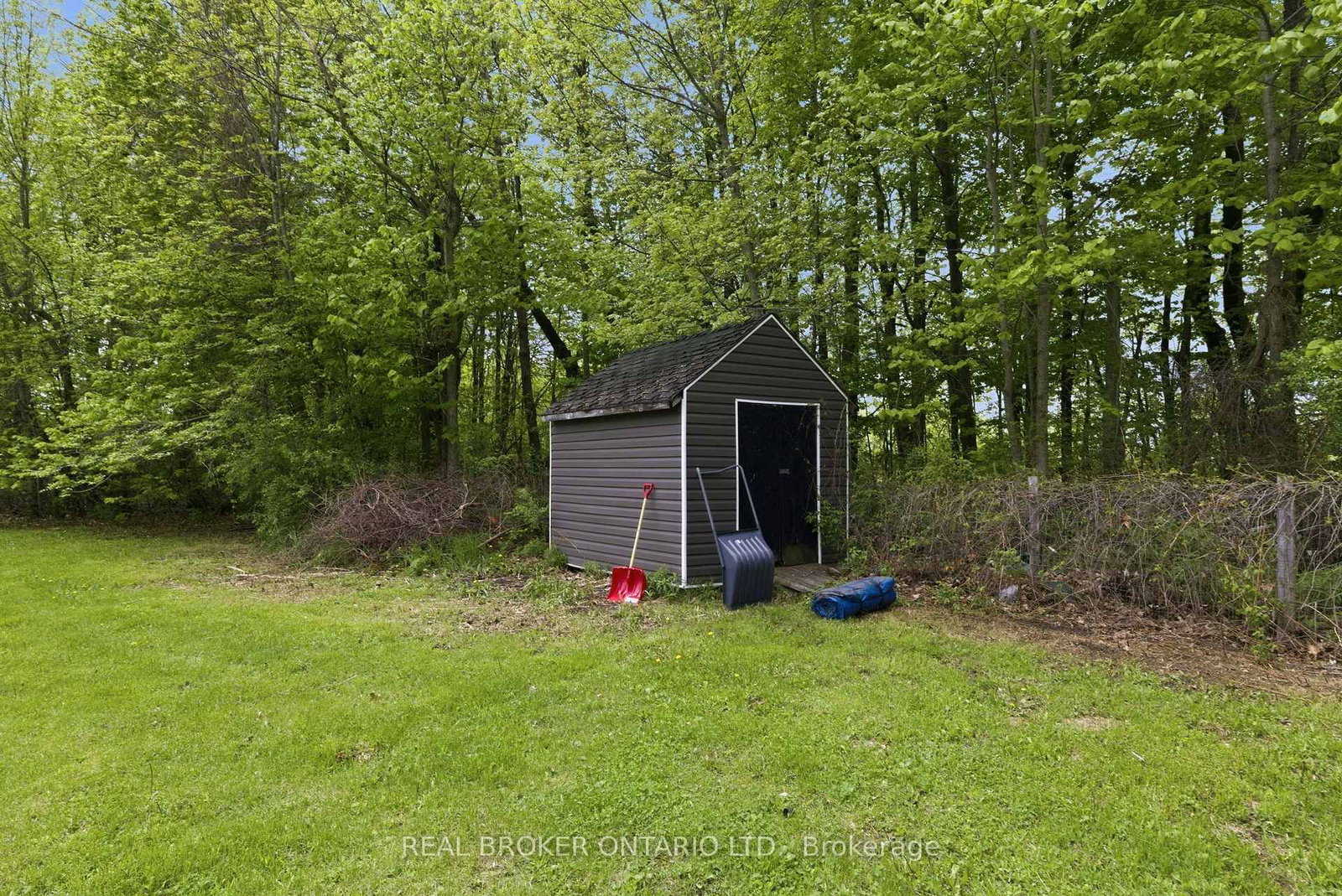Listing Image 7