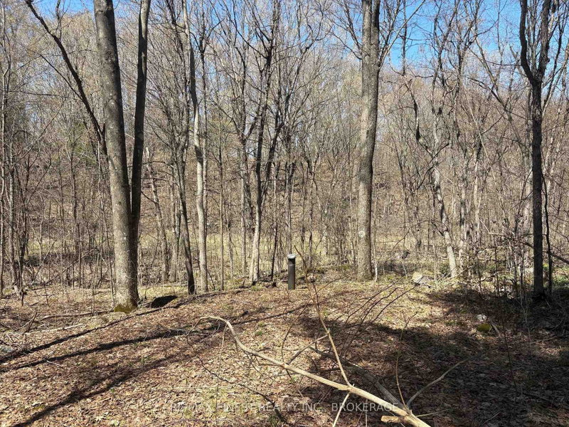 Lot 1 Sweetfern Lane