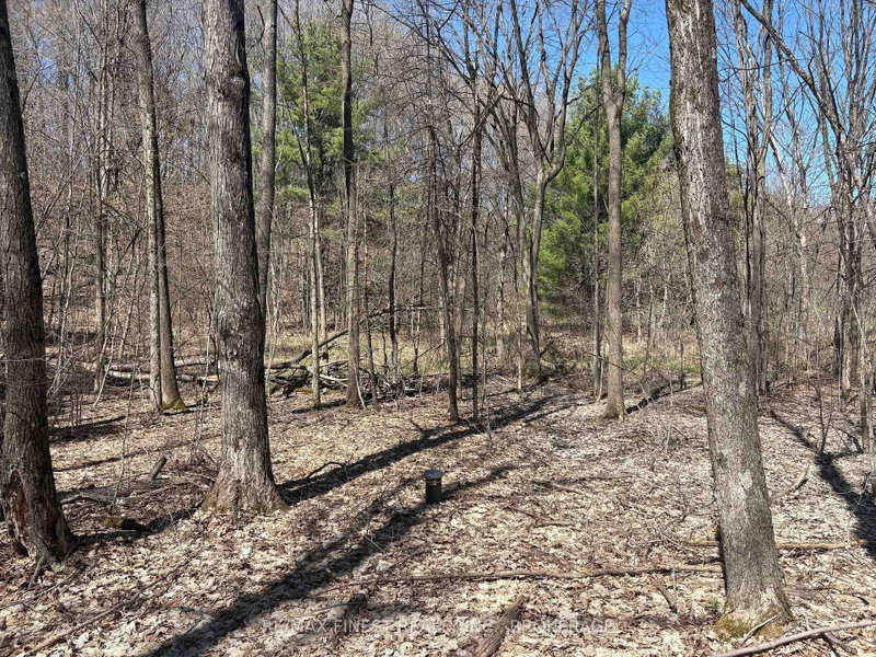 Lot 2 Sweetfern Lane