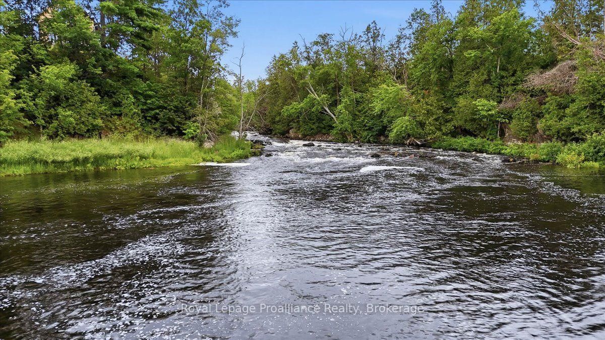 88 A Price Road • Tweed, ON photo 39