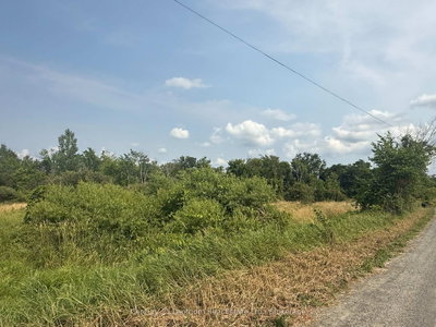 670 Scotch Settlement Road • Madoc, ON photo 4