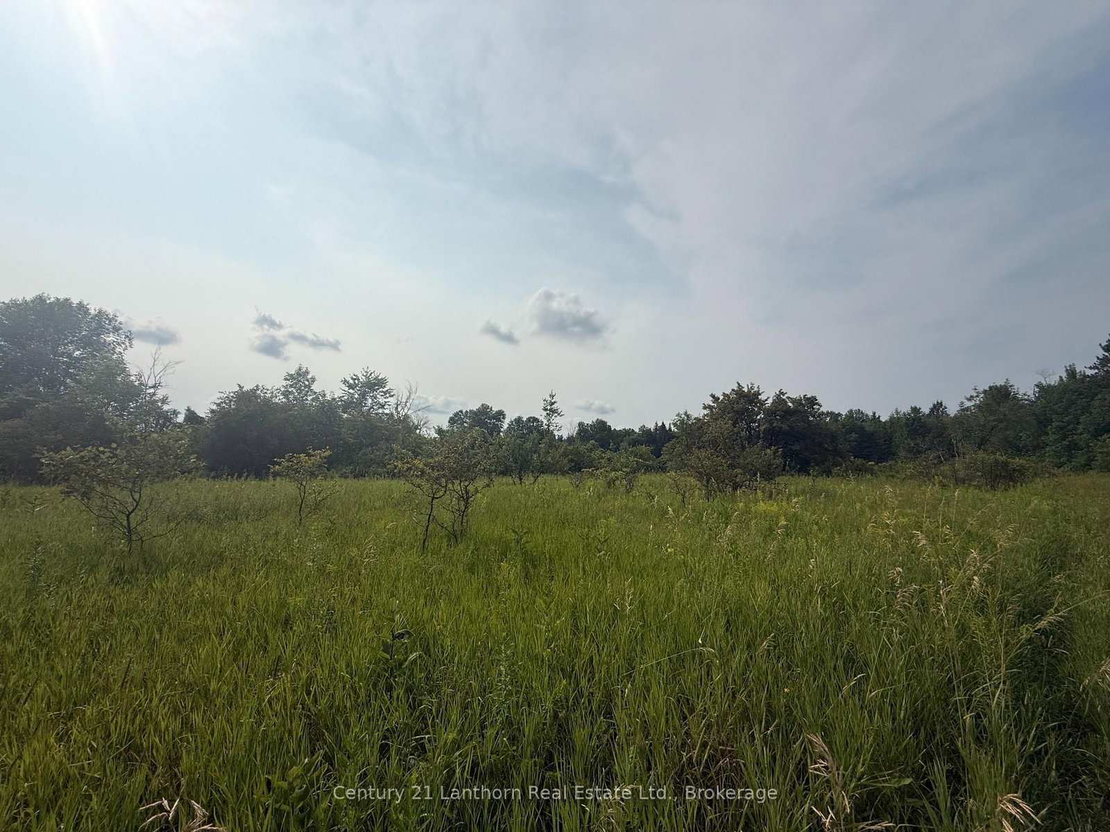 670 Scotch Settlement Road • Madoc, ON photo 9