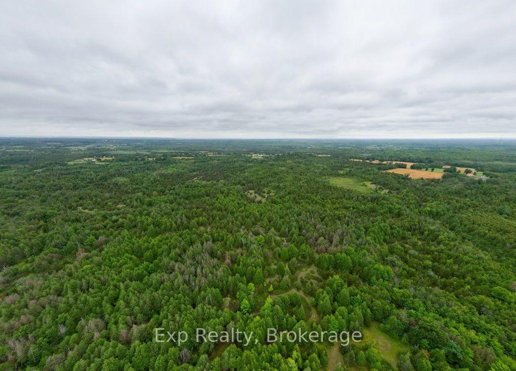 2822 Shannon Road • Shannonville, ON photo 41