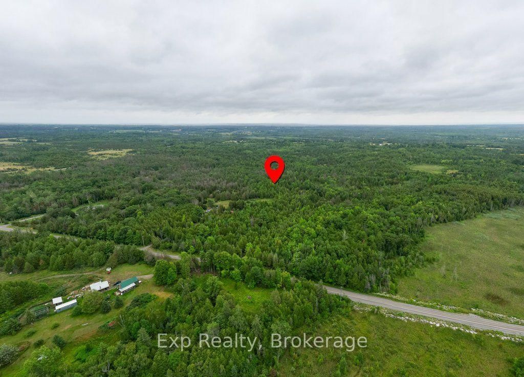2822 Shannon Road • Shannonville, ON photo 42