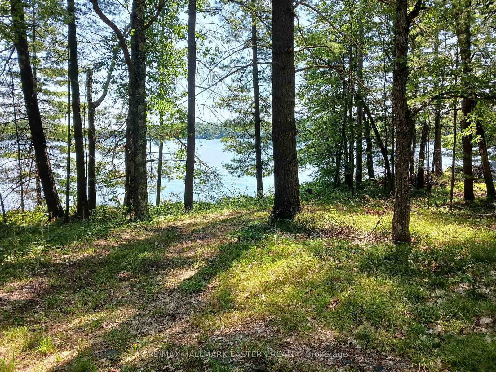 15 Fire Route 92A Kasshabog Lake • Havelock-Belmont-Methuen, ON photo 1