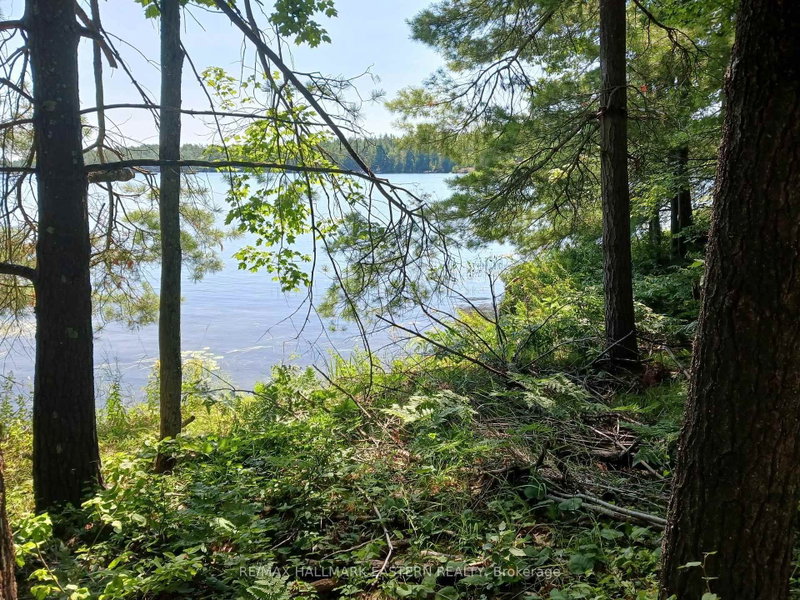 15 Fire Route 92A Kasshabog Lake