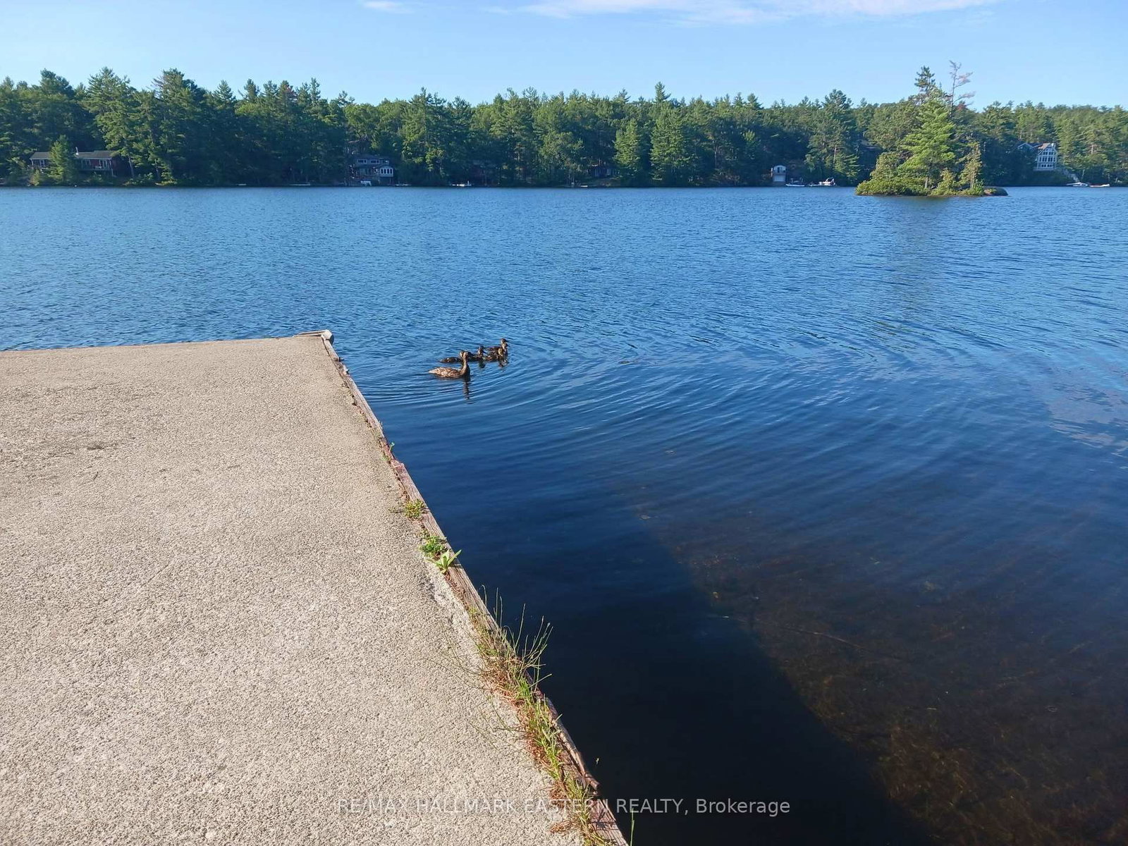 17 Fire Route 92A Kasshabog Lake • Havelock-Belmont-Methuen, ON photo 25