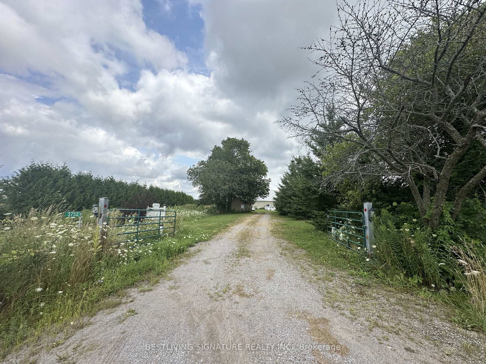 3752 Elm Tree Road • Kawartha Lakes, ON photo 25