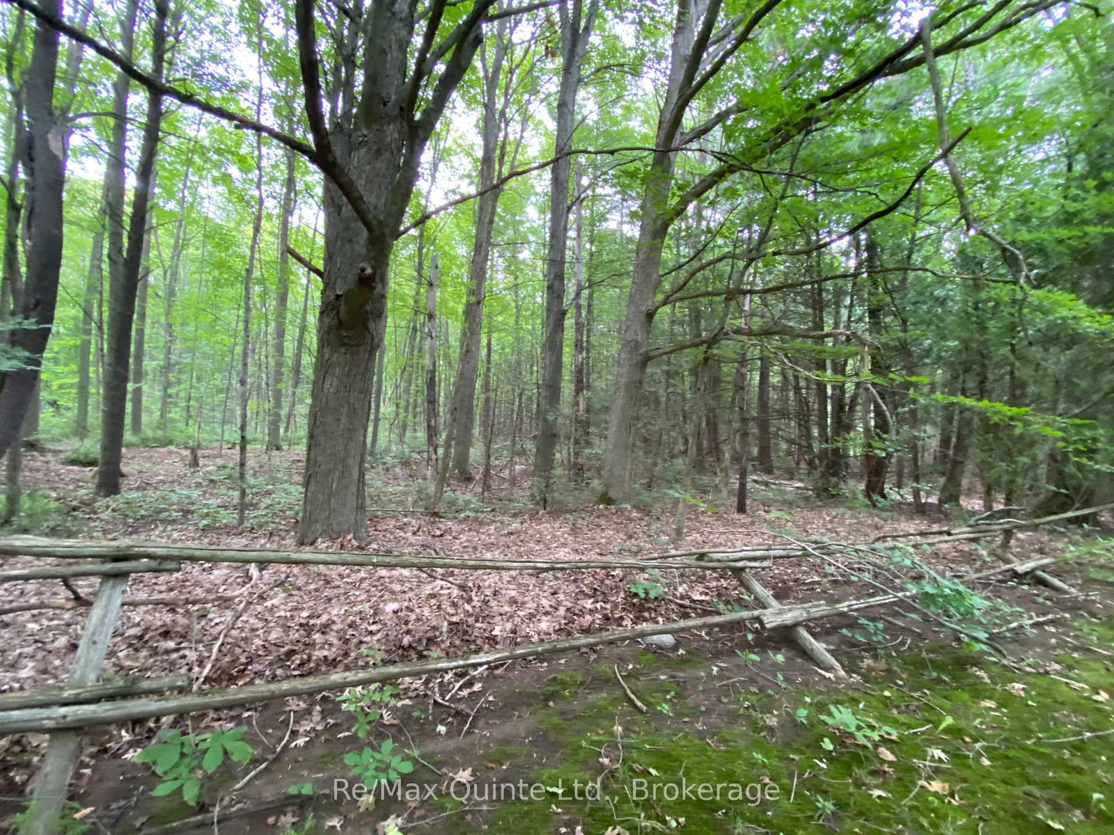 0 County Rd 30 • Brighton, ON photo 1