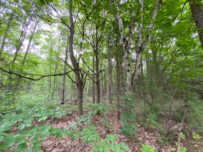 0 County Rd 30 • Brighton, ON photo 2