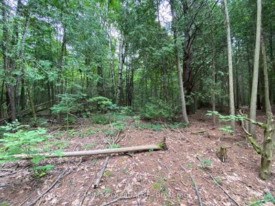0 County Rd 30 • Brighton, ON photo 3