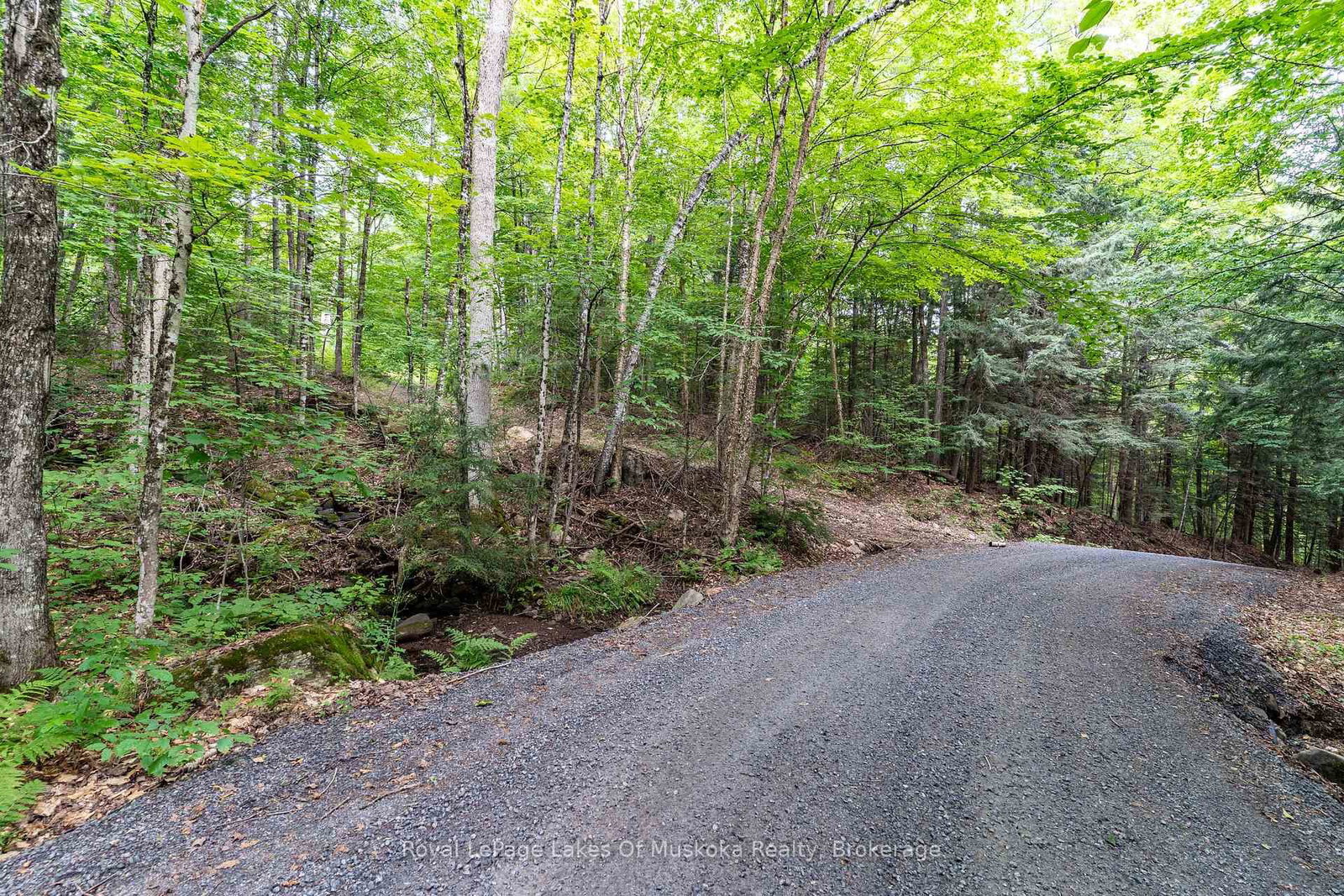 1099 Wolfkin Lake Road • Lake of Bays, ON photo 39