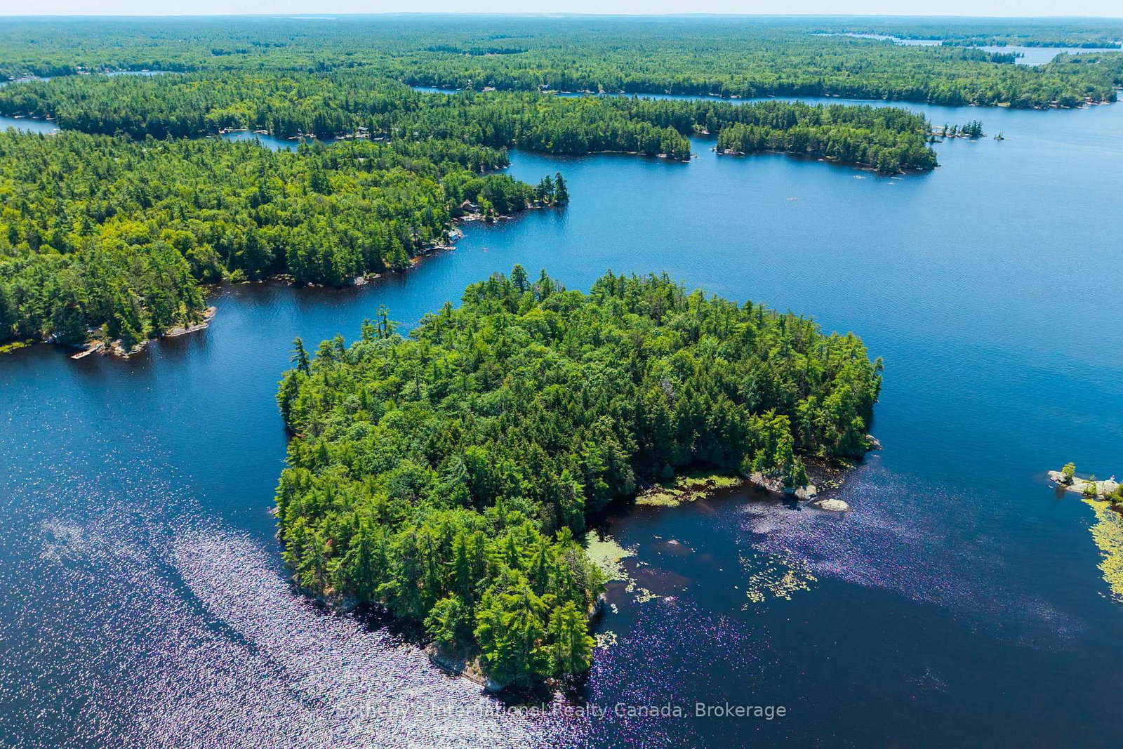 1 Island 29kl Kahshe Lake - Cooee Island • Gravenhurst, ON photo 46
